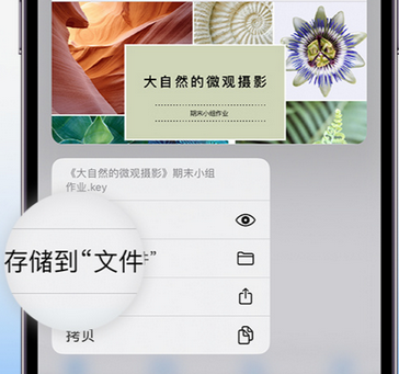 武隆apple维修中心分享iPhone文件应用中存储和找到下载文件