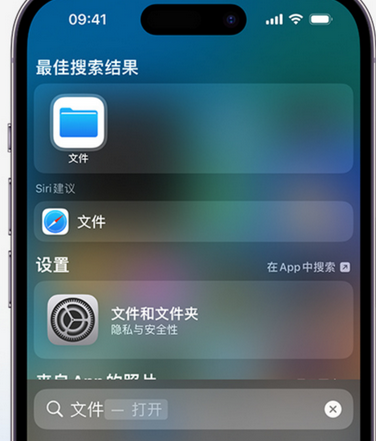 武隆apple维修中心分享iPhone文件应用中存储和找到下载文件