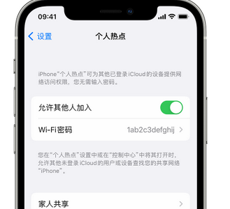 武隆apple服务站点分享iPhone上个人热点丢失了怎么办 