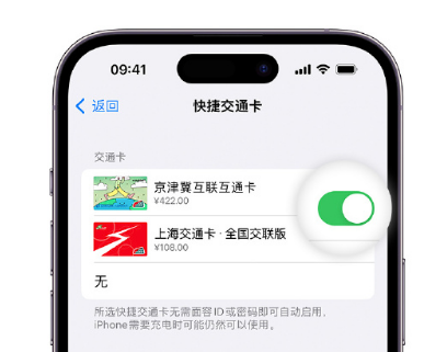 武隆apple维修点分享iPhone上更换Apple Pay快捷交通卡手绘卡面 