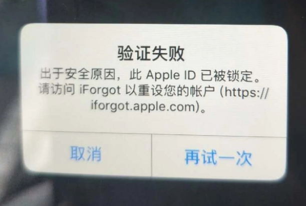 武隆iPhone维修分享iPhone上正常登录或使用AppleID怎么办 