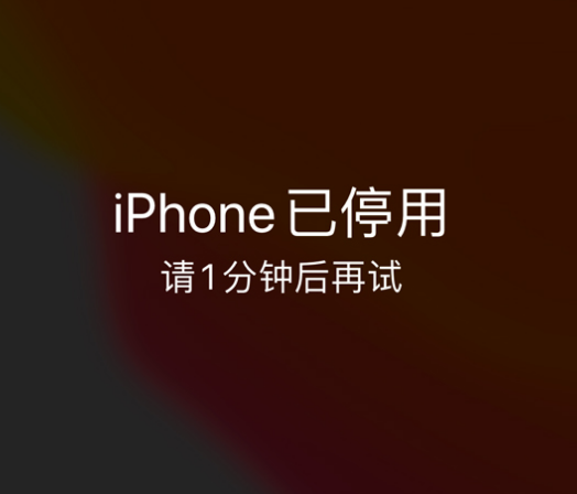 武隆苹果手机维修分享:iPhone 显示“不可用”或“已停用”怎么办？还能保留数据吗？ 