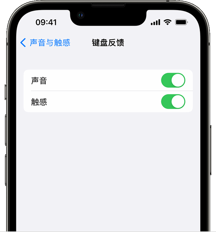 武隆苹果14维修店分享如何在 iPhone 14 机型中使用触感键盘 