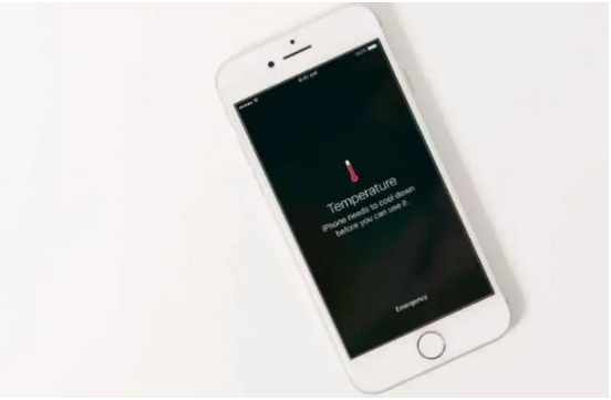 武隆苹果手机维修分享iPhone 手机发热如何快速降温 