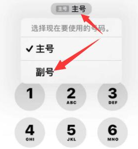 武隆苹果14维修店分享iPhone 14 Pro Max使用副卡打电话的方法 