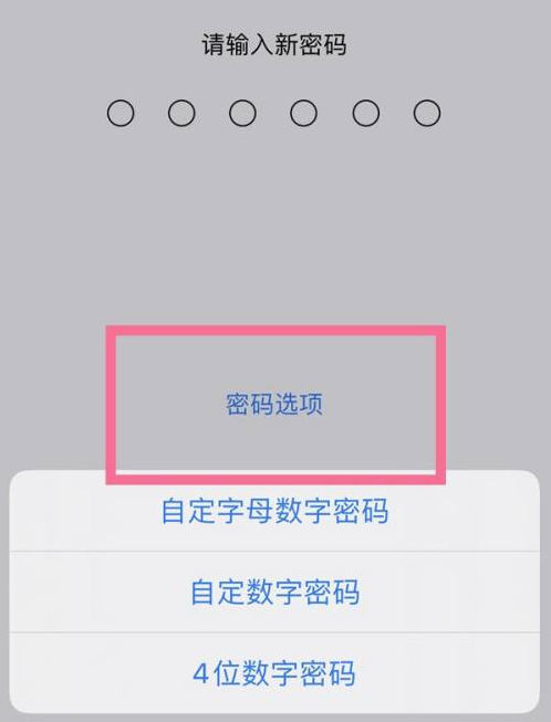 武隆苹果14维修分享iPhone 14plus设置密码的方法 