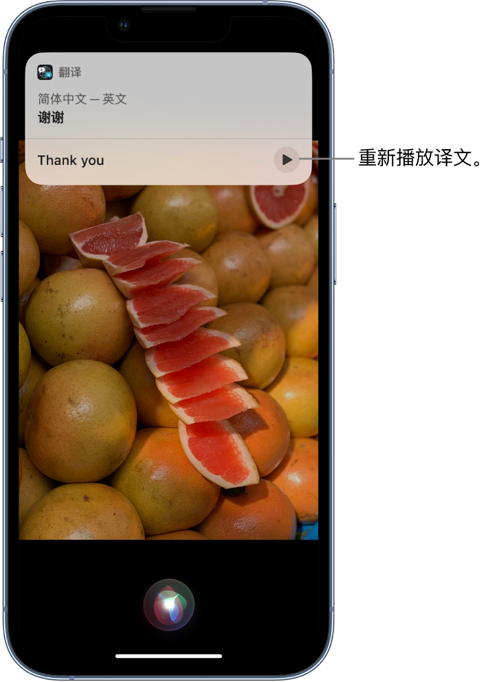 武隆苹果14维修分享 iPhone 14 机型中使用 Siri：了解 Siri 能帮你做什么 