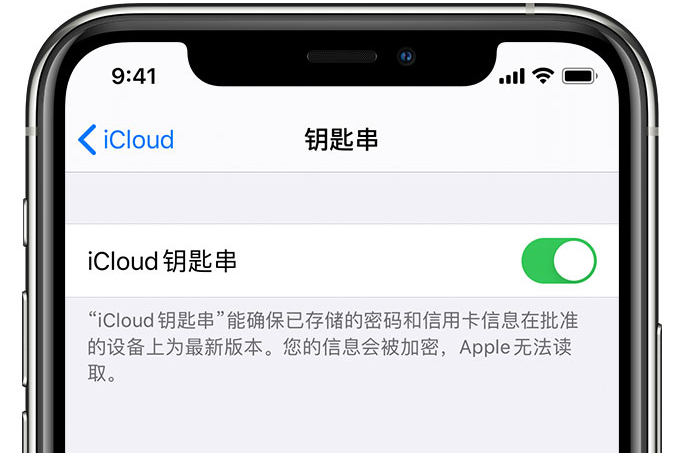 武隆苹果手机维修分享在 iPhone 上开启 iCloud 钥匙串之后会储存哪些信息 