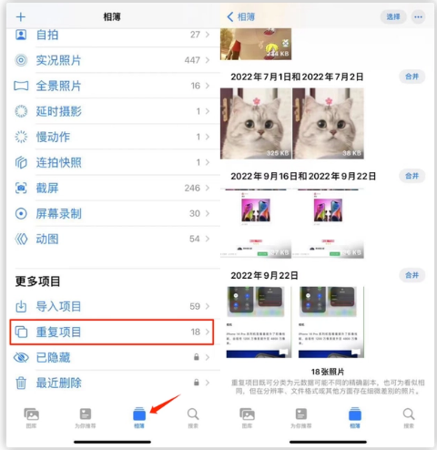 武隆苹果手机维修分享iOS 16 中相册重复项目功能使用方法 