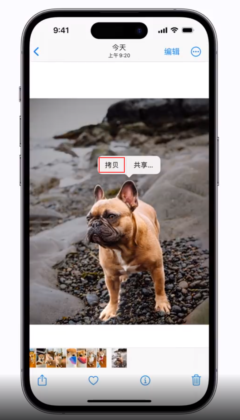 武隆苹果手机维修分享 iOS 16 自带一键抠图功能 