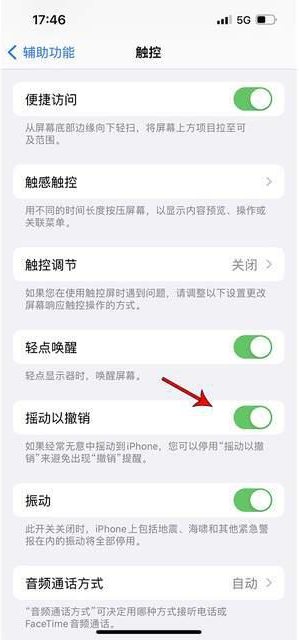 武隆苹果手机维修分享iPhone手机如何设置摇一摇删除文字 