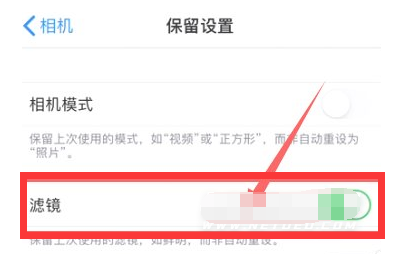武隆苹果13维修分享iPhone13拍照有绿点是怎么回事 