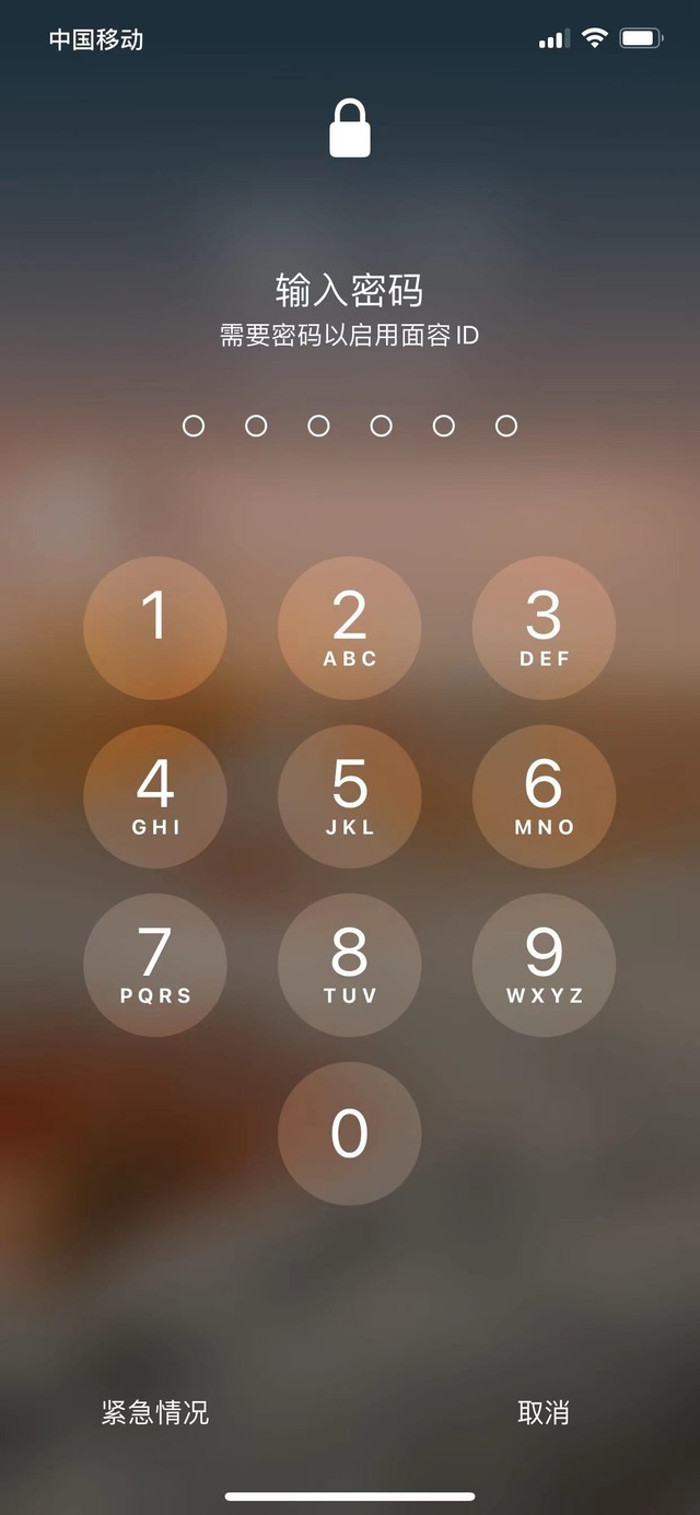 武隆苹果13维修分享iPhone 13加强锁屏功能有什么用 