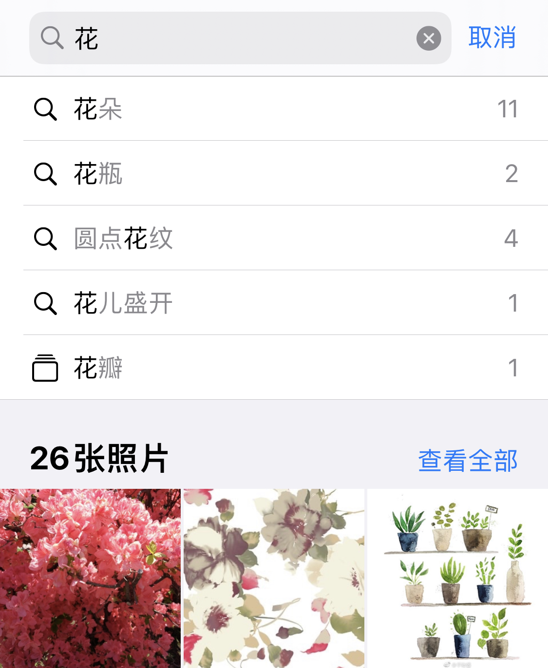 武隆苹果手机维修分享iPhone 小技巧 