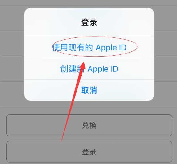 武隆苹果手机维修分享两台iPhone设备可以同时登录一个Apple ID吗 