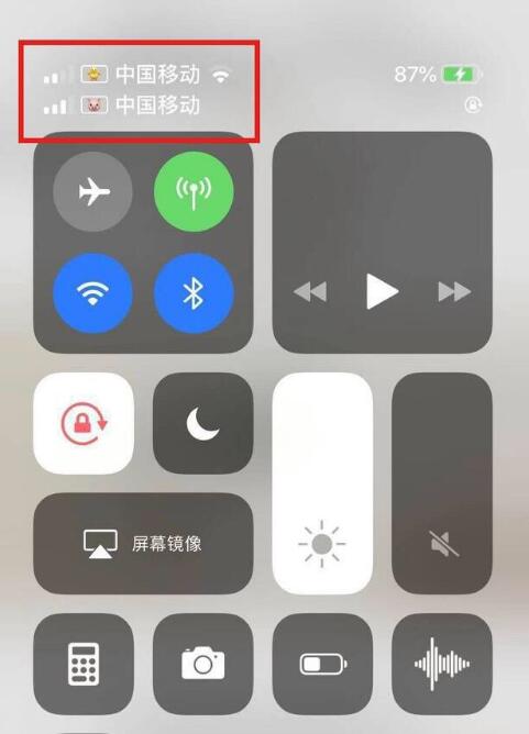 武隆苹果手机维修分享为 iPhone 12 双卡设置标签 