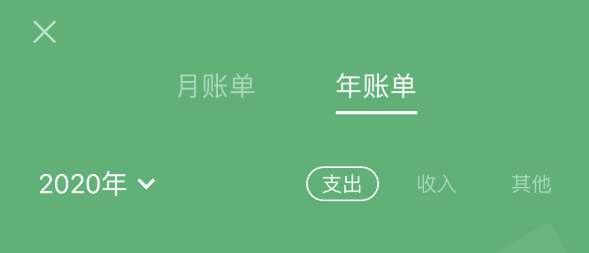 武隆苹果手机维修分享如何在 iPhone 上查看支付宝和微信年支出账单 