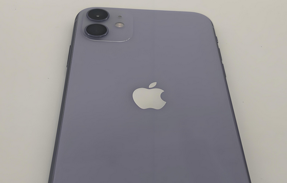 武隆苹果11系统维修分享iPhone11手机系统崩溃无法开机如何解决